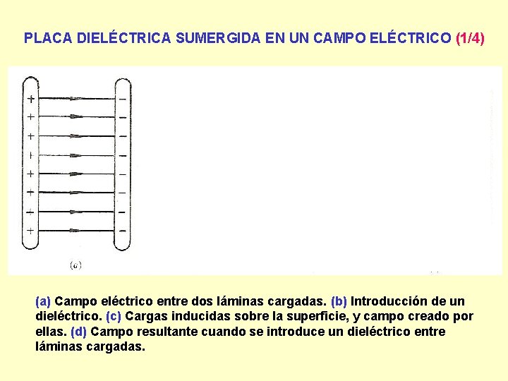 PLACA DIELÉCTRICA SUMERGIDA EN UN CAMPO ELÉCTRICO (1/4) (a) Campo eléctrico entre dos láminas