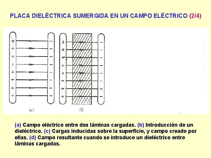 PLACA DIELÉCTRICA SUMERGIDA EN UN CAMPO ELÉCTRICO (2/4) (a) Campo eléctrico entre dos láminas