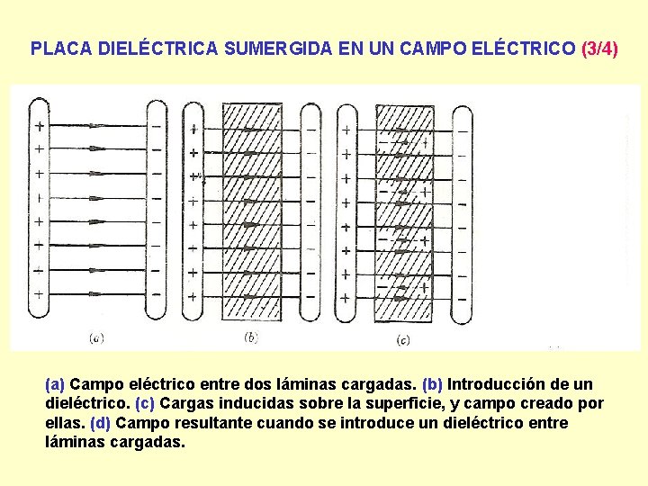 PLACA DIELÉCTRICA SUMERGIDA EN UN CAMPO ELÉCTRICO (3/4) (a) Campo eléctrico entre dos láminas