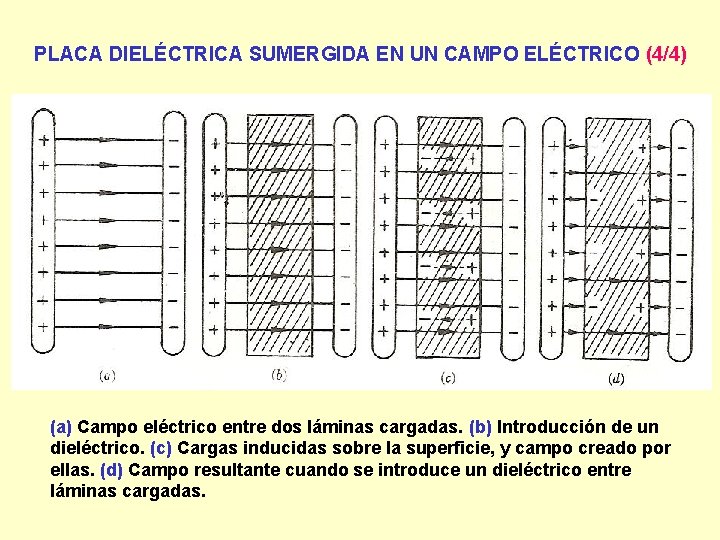 PLACA DIELÉCTRICA SUMERGIDA EN UN CAMPO ELÉCTRICO (4/4) (a) Campo eléctrico entre dos láminas