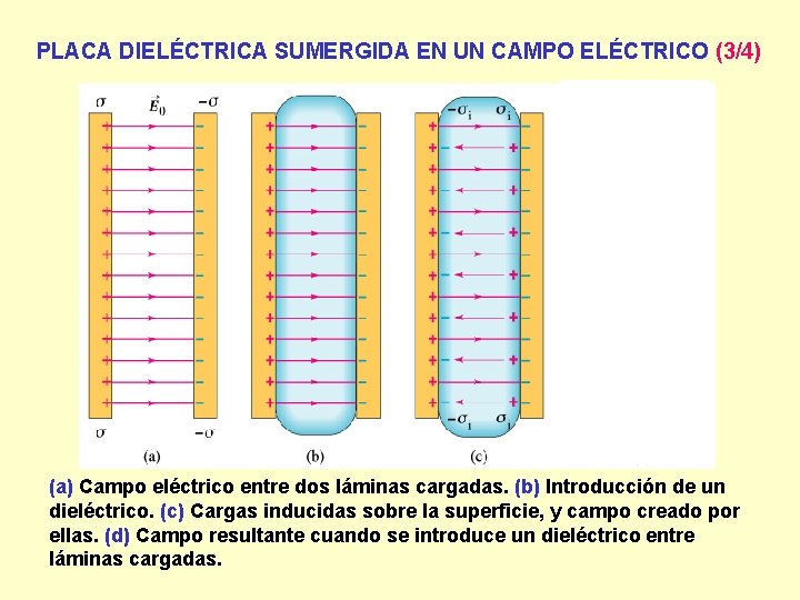 PLACA DIELÉCTRICA SUMERGIDA EN UN CAMPO ELÉCTRICO (3/4) (a) Campo eléctrico entre dos láminas