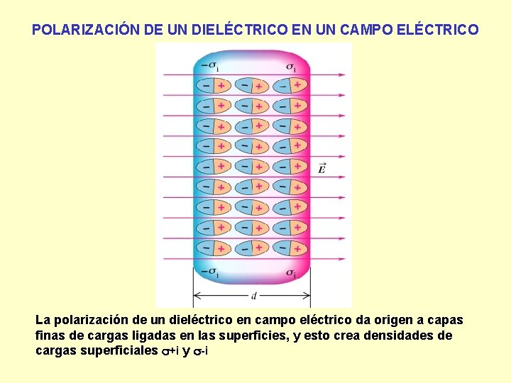 POLARIZACIÓN DE UN DIELÉCTRICO EN UN CAMPO ELÉCTRICO La polarización de un dieléctrico en