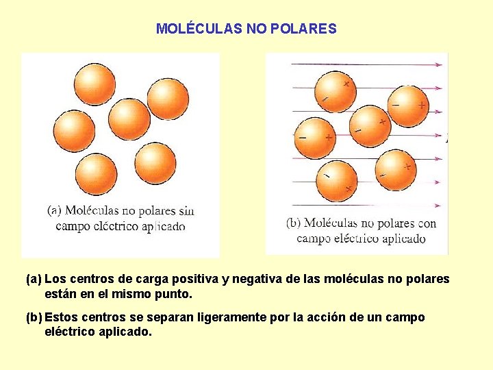 MOLÉCULAS NO POLARES (a) Los centros de carga positiva y negativa de las moléculas