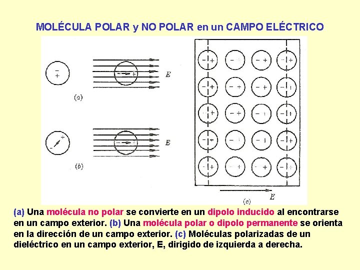 MOLÉCULA POLAR y NO POLAR en un CAMPO ELÉCTRICO (a) Una molécula no polar