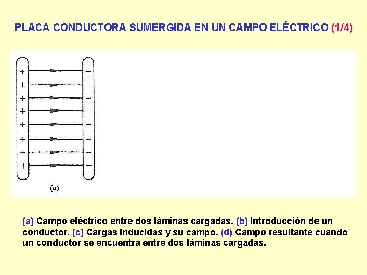 PLACA CONDUCTORA SUMERGIDA EN UN CAMPO ELÉCTRICO (1/4) (a) Campo eléctrico entre dos láminas