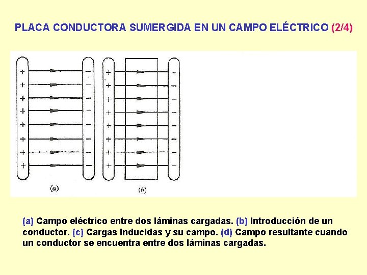 PLACA CONDUCTORA SUMERGIDA EN UN CAMPO ELÉCTRICO (2/4) (a) Campo eléctrico entre dos láminas