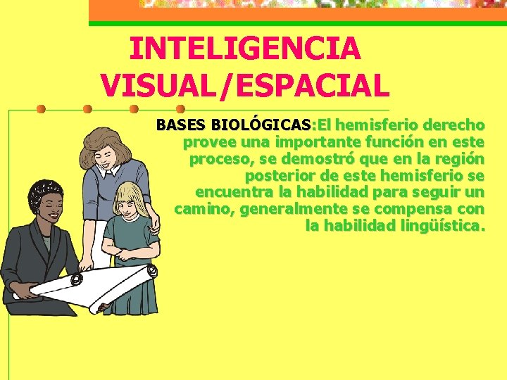 INTELIGENCIA VISUAL/ESPACIAL BASES BIOLÓGICAS: El hemisferio derecho provee una importante función en este proceso,
