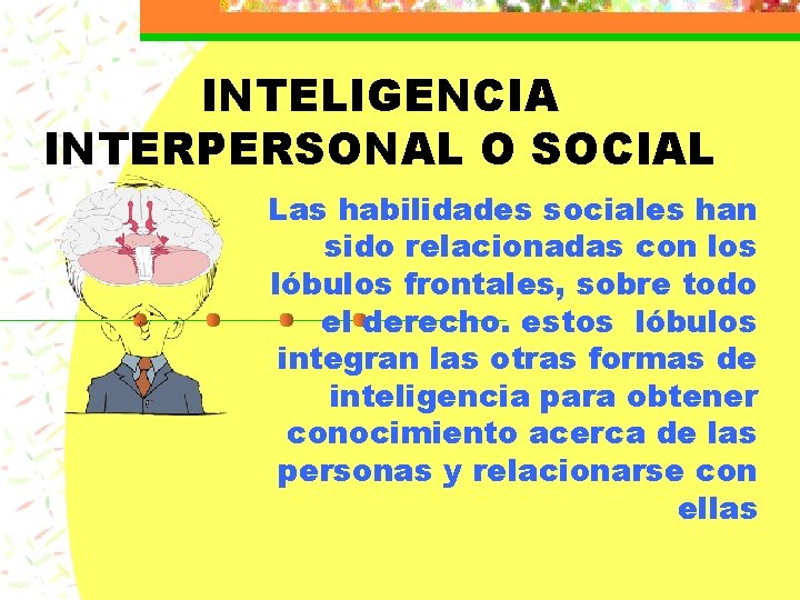 INTELIGENCIA INTERPERSONAL O SOCIAL Las habilidades sociales han sido relacionadas con los lóbulos frontales,