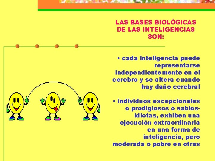 LAS BASES BIOLÓGICAS DE LAS INTELIGENCIAS SON: • cada inteligencia puede representarse independientemente en