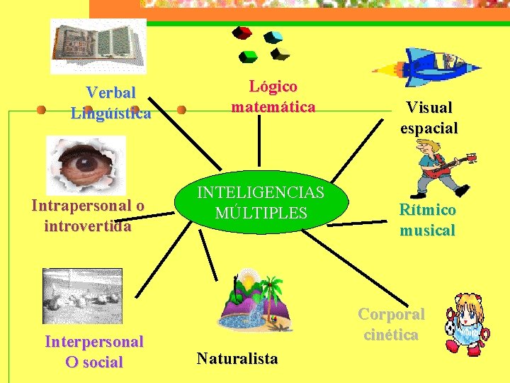 Verbal Lingúística Intrapersonal o introvertida Interpersonal O social Lógico matemática INTELIGENCIAS MÚLTIPLES Visual espacial