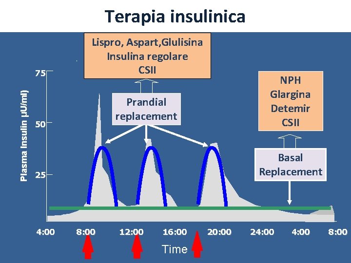 Terapia insulinica Plasma Insulin µU/ml) 75 Lispro, Aspart, Glulisina Insulina regolare CSII NPH Glargina