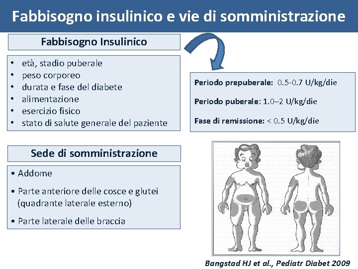 Fabbisogno insulinico e vie di somministrazione Fabbisogno Insulinico • • • età, stadio puberale