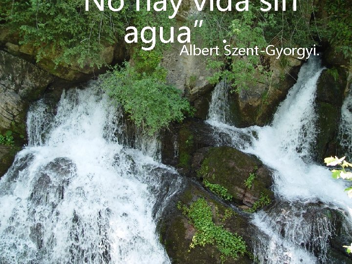 “No hay vida sin agua”. Albert Szent-Gyorgyi. 