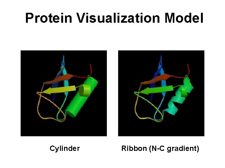 Protein Visualization Model Cylinder Ribbon (N-C gradient) 