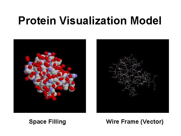 Protein Visualization Model Space Filling Wire Frame (Vector) 