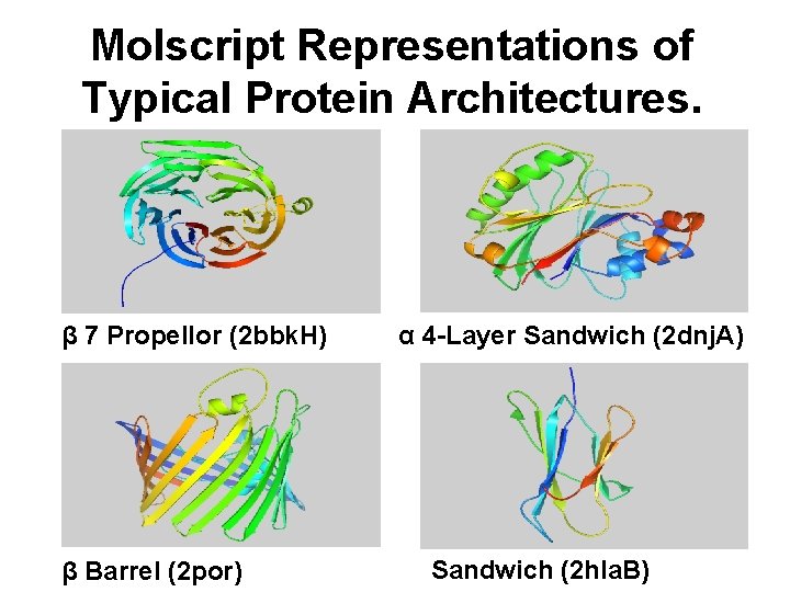 Molscript Representations of Typical Protein Architectures. β 7 Propellor (2 bbk. H) β Barrel