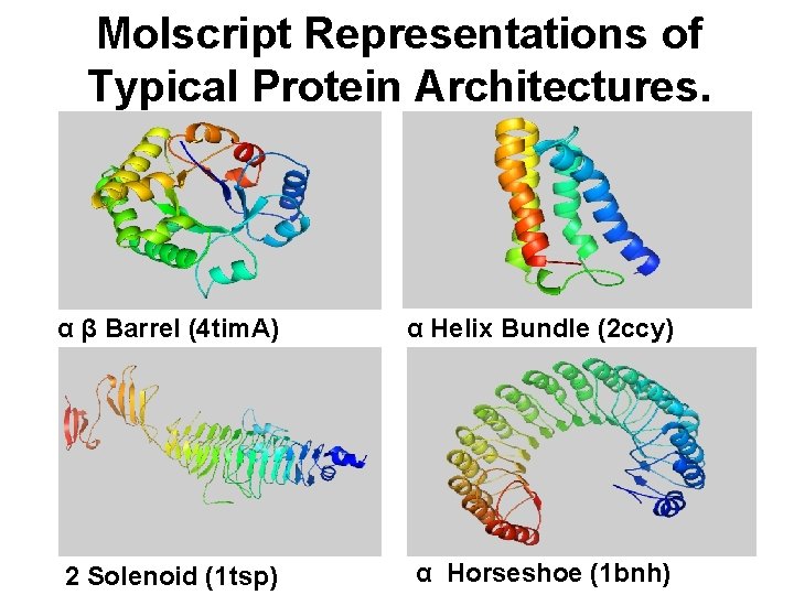 Molscript Representations of Typical Protein Architectures. α β Barrel (4 tim. A) α Helix