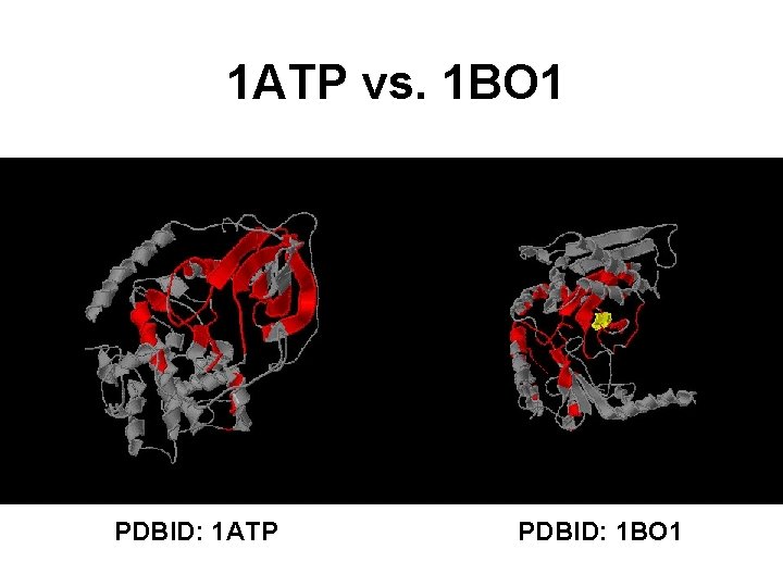 1 ATP vs. 1 BO 1 PDBID: 1 ATP PDBID: 1 BO 1 