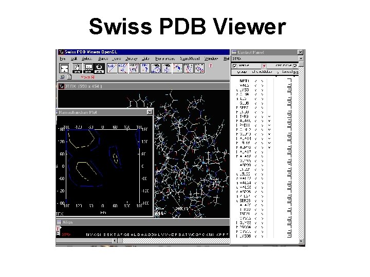 Swiss PDB Viewer 