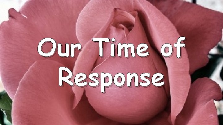 Our Time of Response 