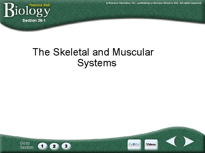 Section 36 -1 The Skeletal and Muscular Systems Go to Section: 