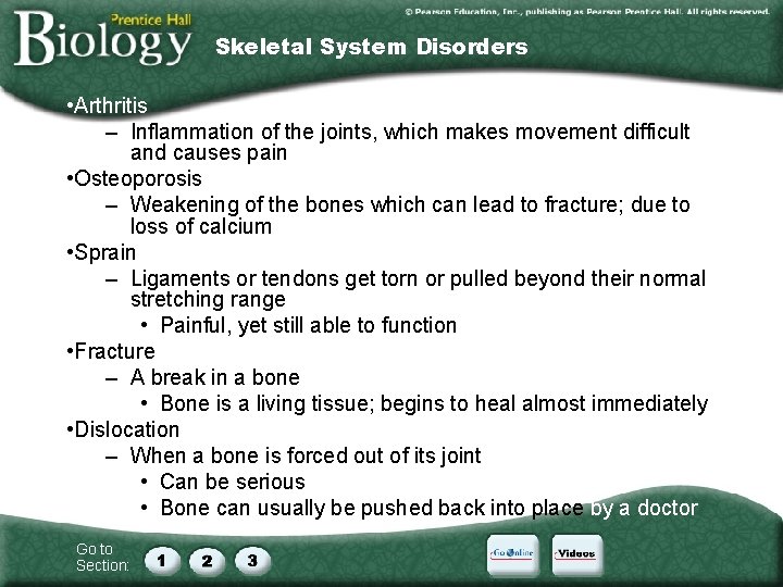 Skeletal System Disorders • Arthritis – Inflammation of the joints, which makes movement difficult