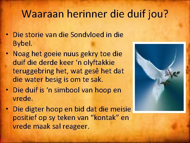 Waaraan herinner die duif jou? • Die storie van die Sondvloed in die Bybel.