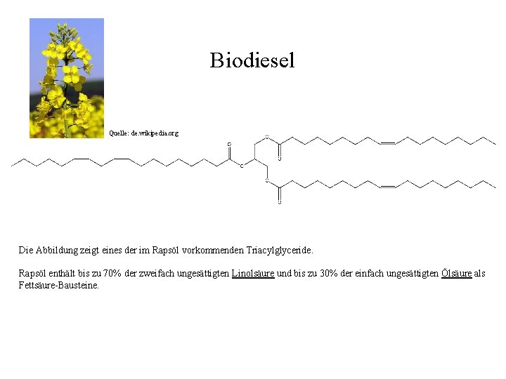 Biodiesel Quelle: de. wikipedia. org Die Abbildung zeigt eines der im Rapsöl vorkommenden Triacylglyceride.