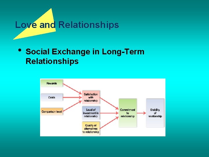 Love and Relationships • Social Exchange in Long-Term Relationships 