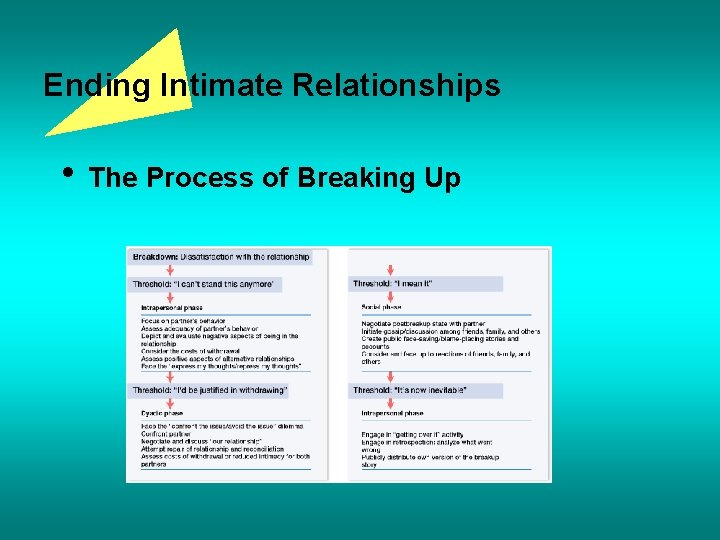 Ending Intimate Relationships • The Process of Breaking Up 