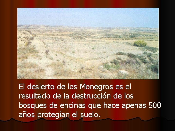 El desierto de los Monegros es el resultado de la destrucción de los bosques