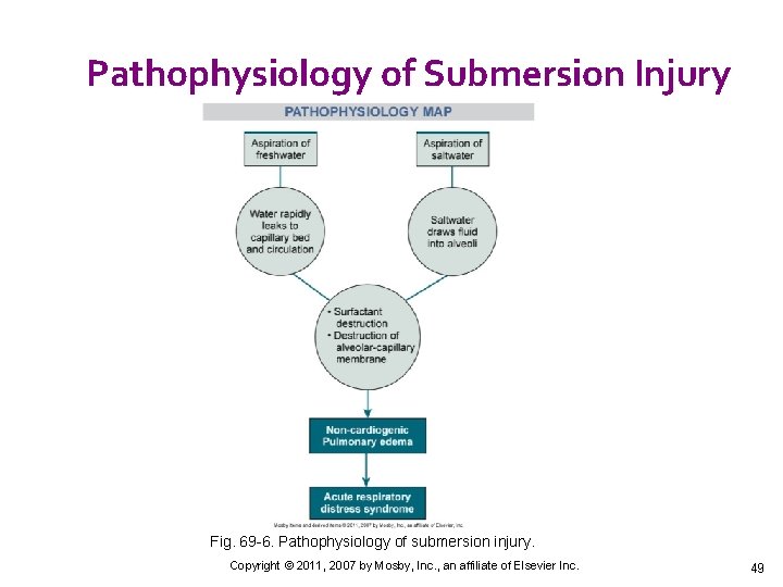 Pathophysiology of Submersion Injury Fig. 69 -6. Pathophysiology of submersion injury. Copyright © 2011,