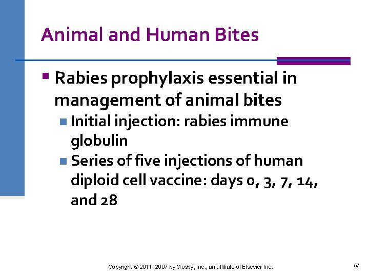 Animal and Human Bites § Rabies prophylaxis essential in management of animal bites n