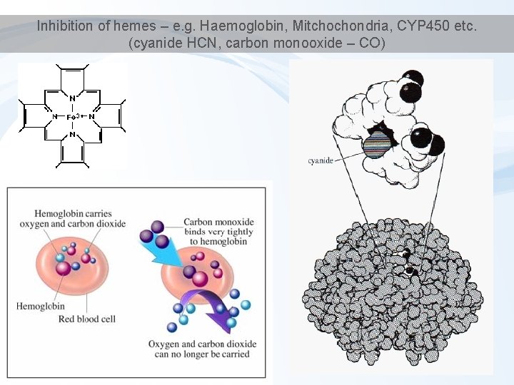 Inhibition of hemes – e. g. Haemoglobin, Mitchochondria, CYP 450 etc. (cyanide HCN, carbon