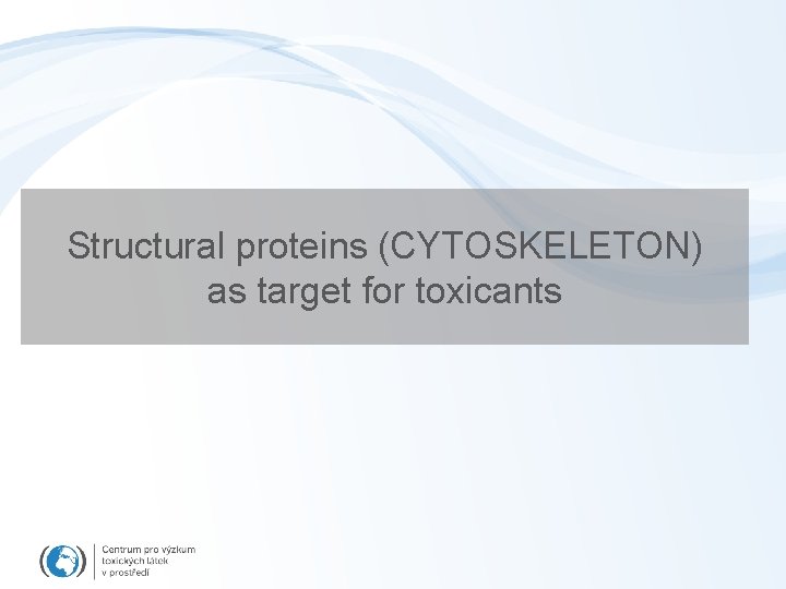 Structural proteins (CYTOSKELETON) as target for toxicants 