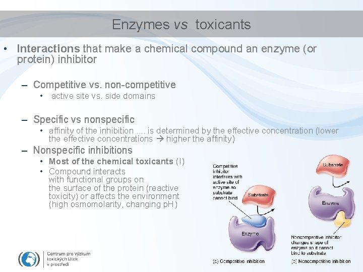 Enzymes vs toxicants • Interactions that make a chemical compound an enzyme (or protein)
