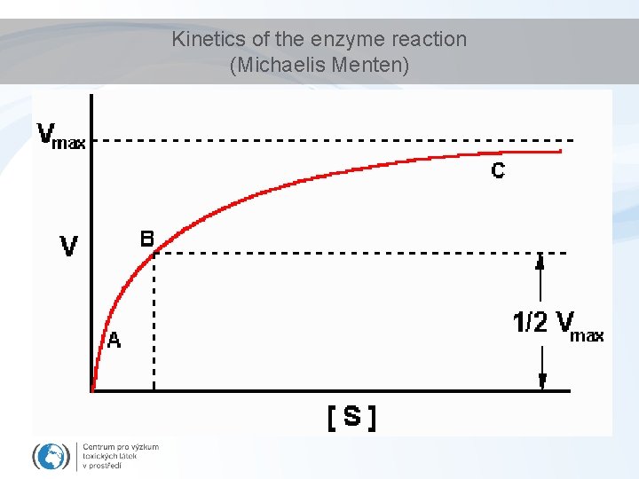 Kinetics of the enzyme reaction (Michaelis Menten) 