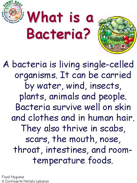 What is a Bacteria? A bacteria is living single-celled organisms. It can be carried