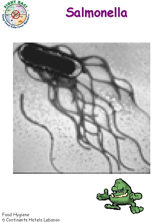 Salmonella Food Hygiene 6 Continents Hotels Lebanon 