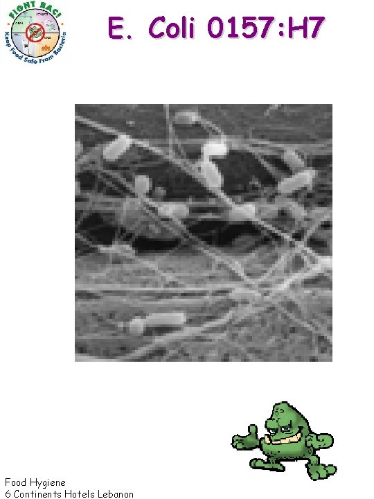 E. Coli 0157: H 7 Food Hygiene 6 Continents Hotels Lebanon 