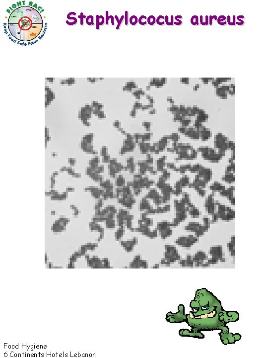 Staphylococus aureus Food Hygiene 6 Continents Hotels Lebanon 