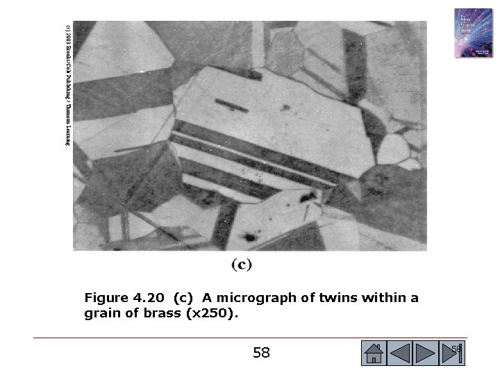 (c) 2003 Brooks/Cole Publishing / Thomson Learning Figure 4. 20 (c) A micrograph of (c) 2003 Brooks/Cole Publishing / Thomson Learning Figure 4. 20 (c) A micrograph of