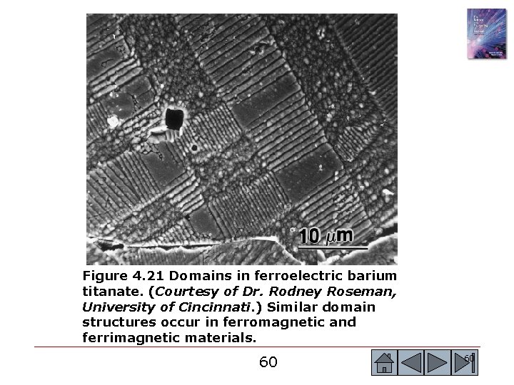 Figure 4. 21 Domains in ferroelectric barium titanate. (Courtesy of Dr. Rodney Roseman, University Figure 4. 21 Domains in ferroelectric barium titanate. (Courtesy of Dr. Rodney Roseman, University