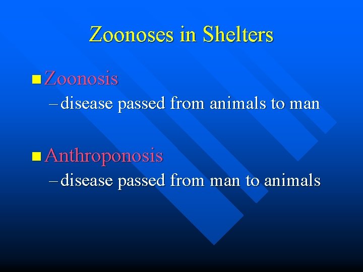 Zoonoses in Shelters n Zoonosis – disease passed from animals to man n Anthroponosis