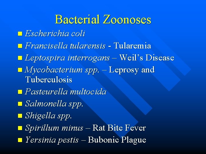 Bacterial Zoonoses Escherichia coli n Francisella tularensis - Tularemia n Leptospira interrogans – Weil’s