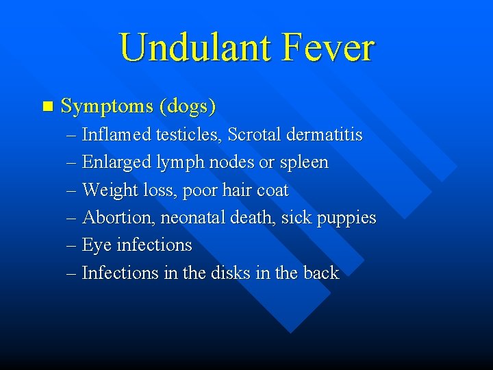 Undulant Fever n Symptoms (dogs) – Inflamed testicles, Scrotal dermatitis – Enlarged lymph nodes