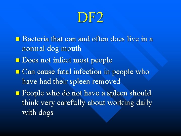 DF 2 Bacteria that can and often does live in a normal dog mouth