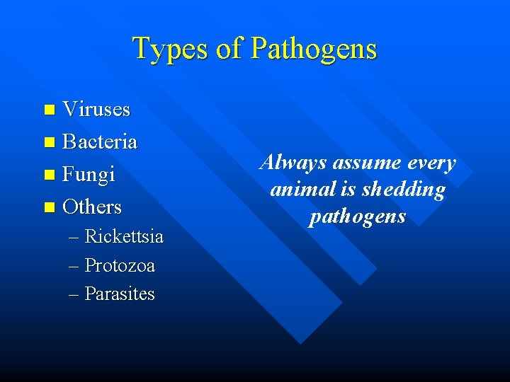 Types of Pathogens Viruses n Bacteria n Fungi n Others n – Rickettsia –