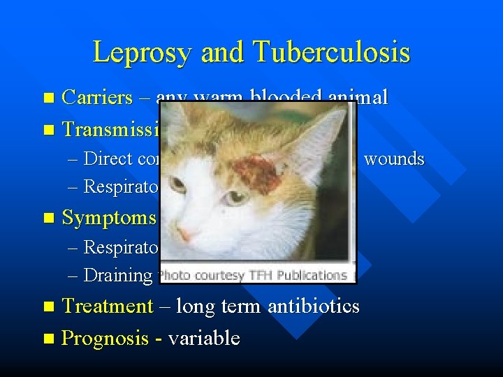 Leprosy and Tuberculosis Carriers – any warm blooded animal n Transmission n – Direct