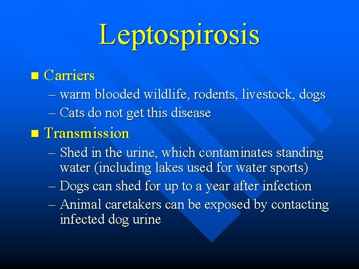 Leptospirosis n Carriers – warm blooded wildlife, rodents, livestock, dogs – Cats do not